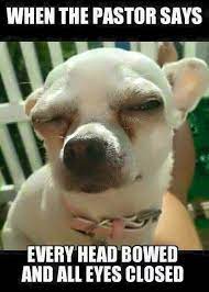 Pin On Kicks Giggles