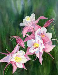 Pin On Art Watercolor Flowers Plants