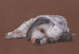 Getting started, we recommend you charge anywhere from $25. How Far Off Is My Pricing For Pet Portraits Wetcanvas Online Living For Artists