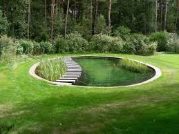 Pin On Yard Landscaping