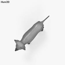 Fennec Fox Hd Fennec Fox 3d Model Cinema 4d