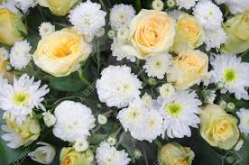 White and yellow flowers bouquet. Mixed Of Fresh White And Yellow Flower Bouquet Stock Photo Picture And Royalty Free Image Image 20606132