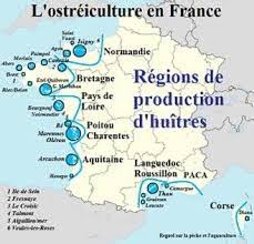 Les Huitres Marennes D Oleron Home Naturo Naturopathe A Domicile Huitres Marennes Oleron Oleron
