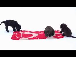 Mad S Ma Yansong Designs Meat Patterned Rugs