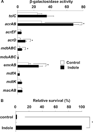 Salamae ), que incluyen a más. Acrab Multidrug Efflux Pump Regulation In Salmonella Enterica Serovar Typhimurium By Rama In Response To Environmental Signals Journal Of Biological Chemistry
