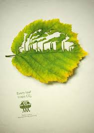 Jason Okeeffe (okeeffe_jason)