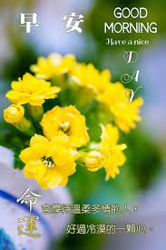 morning greeting by grace jian morning greeting good morning greetings