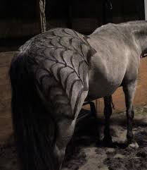 Spider Web Clip Job Horses Horse Halloween Costumes Horse Clipping