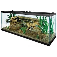 All our coffee table aquariums are. Buy Tetra 55 Gallon Aquarium Kit With Fish Tank Fish Net Fish Food Filter Heater And Water Conditioners Online In Uae B07bj9kpsr