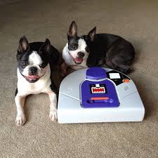 Black And Decker Dustbuster Advanced Clean Plus Reviews The Best Travel Destinations Easy Recipes Best Vacuum Vacuums Diy Drawer Organizer