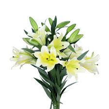 Kita pun dapat maknai arti bunga yang ada di surga sebagai doa agar calon bayi perempuan kita menjelma menjadi bayi perempuan yang sempurna, berparas nama untuk bayi perempuan yang akan lahir harus pas, cocok serta dipertimbangkan dengan matang agar memiliki arti indah, dan spesial. Bunga Bunga Terindah Yang Ada Di Dunia Yulika Florist