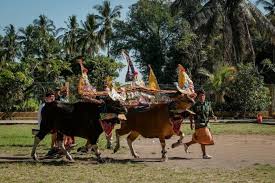 Desa Wisata Sudaji Bali Terapkan Konsep "Community Based Tourism" -  sinarharapan.net