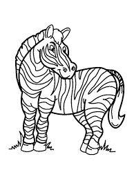 If you are a teacher or parent who happen to use the materials on this site and have feedback or. Zebra Coloring Pages Download And Print Zebra Coloring Pages