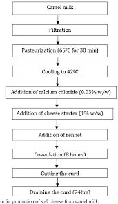 Rajasthan is losing its camel which is its state animal. Optimization Of The Production Process Of Soft Cheese From Camel Milk Using Linear Programming Technique Semantic Scholar