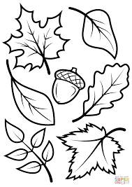 Lots more easter coloring pages to browse here!! Fall Leaves And Acorn Coloring Page Free Printable Coloring Pages Coloring Home