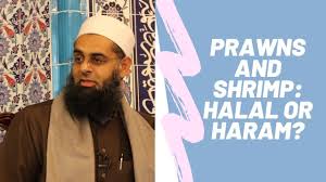 Seafood such as shrimps that do not have fins and scales so they are not halal. Q A Prawns And Shrimp Halal Or Haram Answered By Mufti Abdur Rahman Ibn Yusuf Youtube