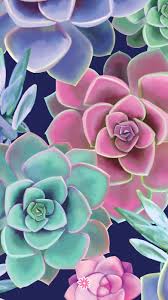 Check spelling or type a new query. Free Phone Wallpaper Flower Phone Wallpaper Free Phone Wallpaper Succulents Wallpaper