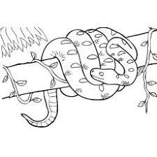 For boys and girls, kids and adults, teenagers and toddlers, preschoolers and older kids at school. Top 25 Free Printable Snake Coloring Pages Online