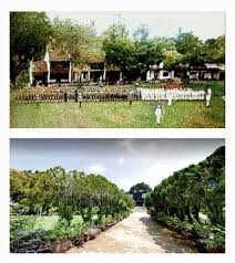 Image result for Malacca Blue 1990 Vista