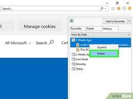 3 Ways To Access Internet Explorer History - Wikihow