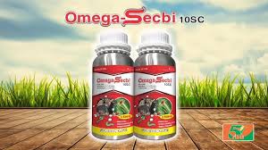 Omega-Secbi 10SC