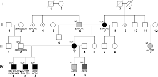 pedigree of family a roman numerals indicate generation and