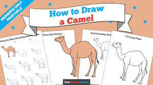 So, let's learn how to draw a camel the proper way by adding the eyes first and making them of equal size (00 min 27 sec). How To Draw A Camel Really Easy Drawing Tutorial