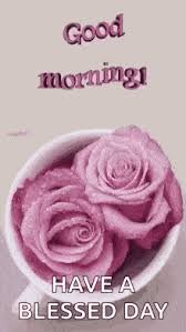 See more ideas about saturday greetings, morning blessings, saturday. Good Morning Blessings Gif Icegif