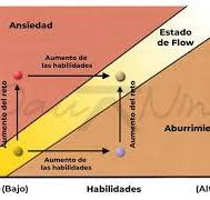 6 ejemplos + SECRETO de sentir el estado de FLOW