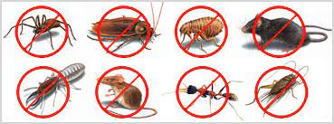 Compare quotes from local pest control services near you. Apex Pest Control Home Facebook