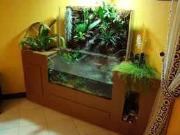 Image Result For Betta Riparium Fish Tank Decorations Water Terrarium Aquarium Design