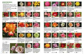 We did not find results for: Ludwig S Roses 2017 28 Catalogue By Anja Taschner Issuu