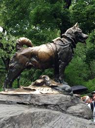 Balto Statue Upper Manhattan New York Ny Famous Dogs Urban Dog Dog Hero