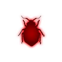 Pest control companies have reported bed bug activity on a national scale. Kill Bed Bugs With Bed Bug Heat Treatment Benefits Vs The Risks