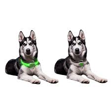 If you're still in two minds about led dog collar and are thinking about choosing a similar product, aliexpress is a great place to compare prices and sellers. Dog Collar Led Light Petsaber Maxi Insportline
