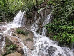 Air terjun di bogor atau curug sangat banyak di kota hujan karena lokasi kota ini berada di pegunungan sehingga menawarkan panorma alam yang indah. 10 Air Terjun Di Selangor Paling Menarik Ammboi