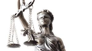 Image result for Justicia francoiseana