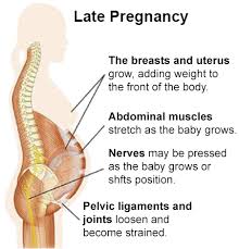 Albany Sport And Spine Physical Therapy