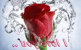 Image result for free pictures to download