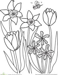 Spring brings fresh breezes and glorious flowers. Color The Spring Flowers Worksheet Education Com Flower Coloring Pages Flower Coloring Sheets Spring Pictures To Color