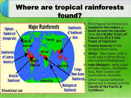 Tropical rainforests can be found in south and central america, southeast asia, africa, south india, and northeast australia. Tropical Forest Ecosystem