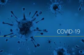 Prix caloritube ambroise 11kw : Providence Therapeutics Stock Canada L0sbb6hwmbulbm Shares Of Sarepta Therapeutics Nasdaq Srpt Were Crashing 50 7 As Of 11 11 A M Kumpulan Alamat Grapari Telkomsel Dan Alamat Bank