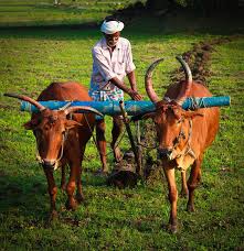 Farmer Karunguzhi