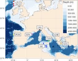 Frontiers | First evidence of population genetic structure of the  deep-water blackmouth catshark Galeus melastomus Rafinesque, 1810