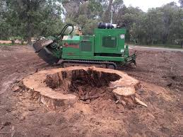 Then the amount of time needed for the job will determine the ultimate cost. How Much Does Stump Grinding Cost