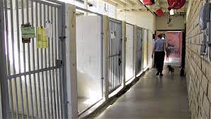 La animal services operates six animal shelters throughout the city of los angeles. New Animal Shelter Project Moves Forward County Of San Luis Obispo