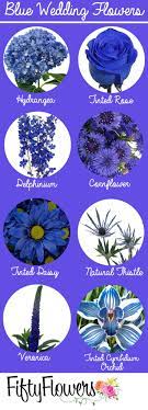 There are 19640 natural blue flowers for sale on etsy, and they cost $9.89 on average. Find Your Something Blue At Fiftyflowers Com Blue Wedding Flowers Wedding Flower Guide Royal Blue Wedding