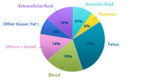 Hydration In Pregnancy And Breastfeeding Hydration For Health