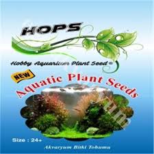 Aquatic Plant Seeds Bitki Tohumu Egeakvaryum Com