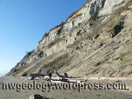 Useless Bay And Double Bluff Northwest Geology Field Trips